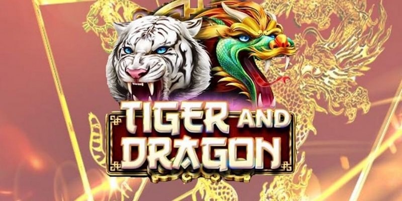 Introducing in detail how to play Dragon Tiger for newbies