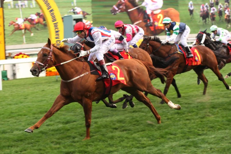 What is horse racing betting?