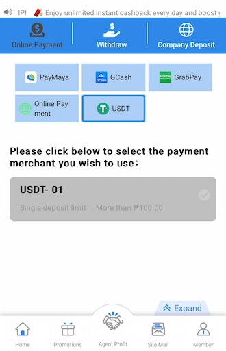 Step 2: Go to the online payment interface and select USDT as the payment method. 