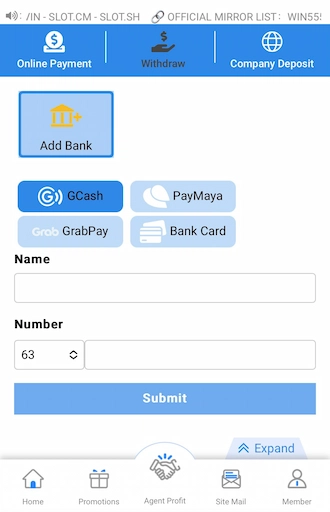 Step 4: Choose a bank account type. Fill in your bank account information in the blank fields. 