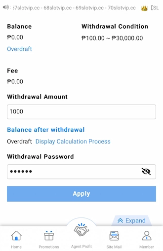 Step 5: Enter the amount you want to withdraw and your withdrawal password. 